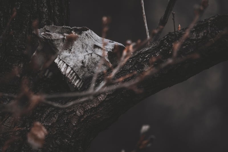 Enchantments